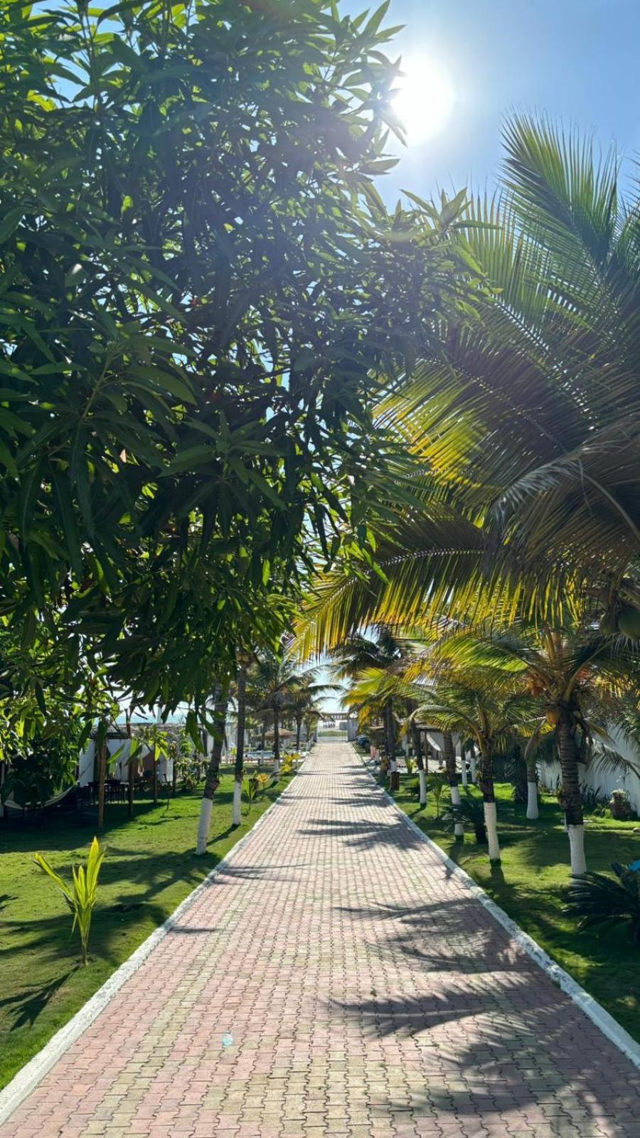 Hotel La Mar ปลายาส ภายนอก รูปภาพ
